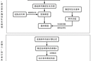 确定天然林分中单木年龄的方法