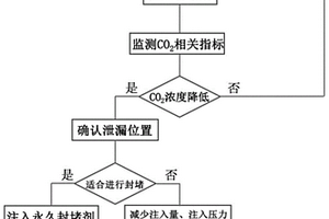 应用暂堵剂判断二氧化碳地质封存泄漏点的方法