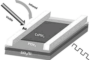 PtSe<Sub>2</Sub>/CsPbI<Sub>3</Sub>异质结光电探测器及其制备方法和应用