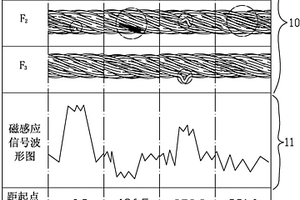 强磁-图像联合钢丝绳在线无损探伤系统及方法