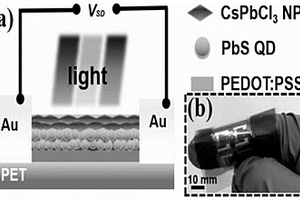 垂直堆垛PEDOT:PSS/PbS/CsPbCl<Sub>3</Sub>纳米结构柔性光探测器的制备方法