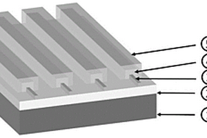 嵌套光栅结构的双极性自驱动偏振光探测器