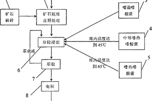 嗜热嗜酸菌及低品位原生硫化铜矿微生物分段浸出工艺