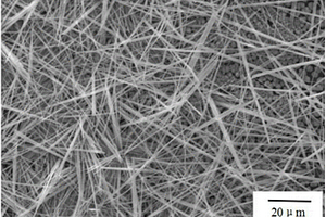 再结晶法制备铅卤钙钛矿纳米线的方法