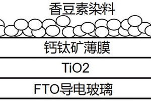 水系钙钛矿光电转换系统