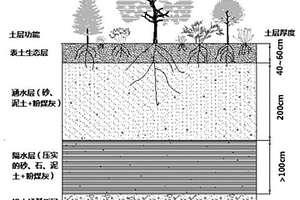露天矿排土场生态再造海绵结构及其应用