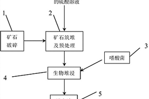 高镁型低品位硫化镍矿的低酸耗生物堆浸新工艺