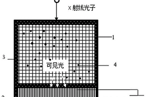 钙钛矿晶体/量子点复合闪烁体及其制备方法和应用