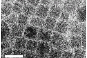 双钙钛矿Cs<Sub>2</Sub>AgSbBr<Sub>6</Sub>纳米晶体及合成和应用