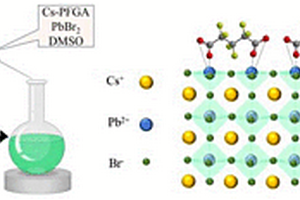 全氟戊二酸钝化的CsPbBr3钙钛矿纳米晶的制备与应用