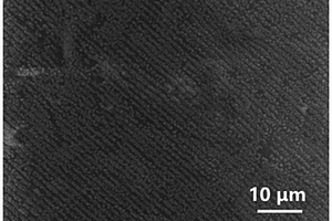 表面图案化有机无机杂化钙钛矿薄膜的制备方法