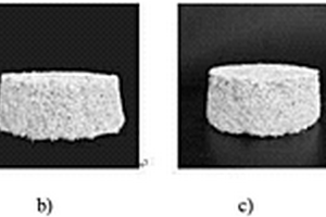 碳酸酐酶矿化菌固化砂土效果研究方法