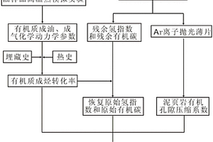 泥页岩有机孔隙度检测方法