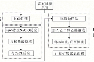 富有机质页岩比表面积测定方法