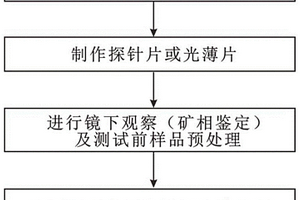 原位微区定量分析铍含量的方法