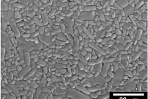 铋层状结构铌酸铋钙高温压电陶瓷材料及其制备方法