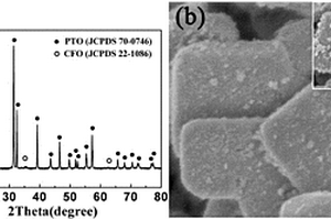 具有强磁电耦合效应的二维单晶PbTiO<sub>3</sub>-CoFe<sub>2</sub>O<sub>4</sub>复合纳米材料的制备方法