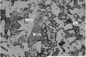 基于偏光显微镜反射光系统识别黑色含油凝灰岩类的方法