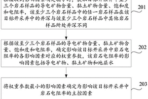 岩石电阻率的影响因素确定方法、装置及计算机存储介质