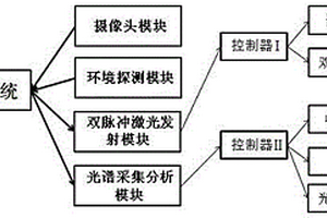 双脉冲激光诱导击穿光谱分析装置及方法