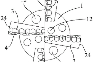 用于含砾岩地层的钻头