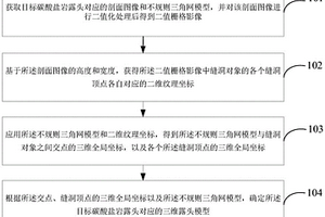 三维露头模型确定方法及装置