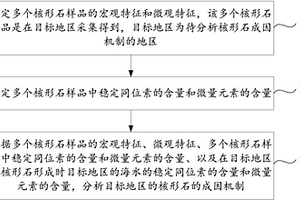 核形石成因机制的分析方法