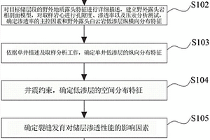 白云岩潜山油藏低渗层精细表征方法和装置