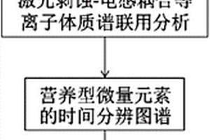 有机质纹层的微观定量表征方法