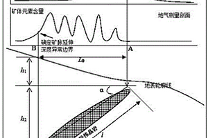 地气与X荧光异常推断伟晶岩稀有金属矿延深方法