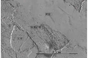 岩石中透明矿物突起等级的确定方法、系统及应用