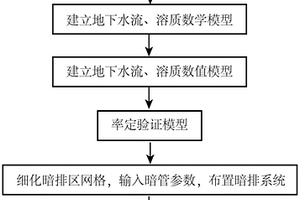 区域暗管布局及排水排盐数值模拟方法和装置