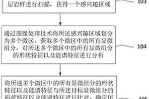 储层显微组分的定量方法