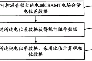 可控源音频大地电磁法视相位信息的获取方法与装置