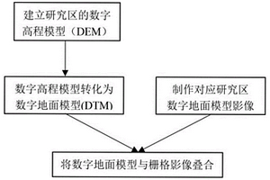 用于数字地面模型的高精度仿真贴图技术方法