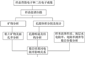 利用数字岩心技术快速识别评价低阻油气层方法