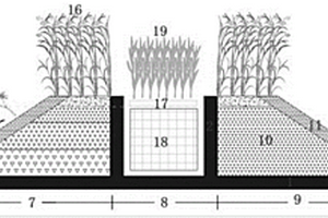 组合式生态透水坝