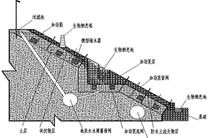 海绵体多功能生态治理的方法