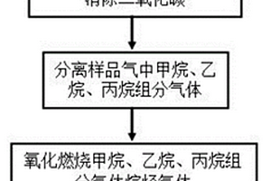 多烷烃组分气体δ<Sup>13</Sup>C同位素录井方法及装置