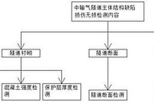 输气隧道主体结构缺陷损伤无损检测评价方法