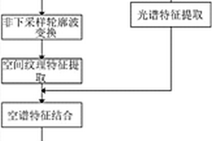 基于NSCT和SAE的高光谱图像分类方法