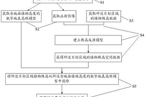 潮滩植被区地形反演方法及系统