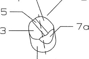 用于孕镶钻头的孕镶齿