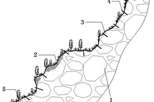高陡岩石边坡主动防护设施
