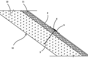 废渣堆场的泥岩边坡防风化和加固的结构
