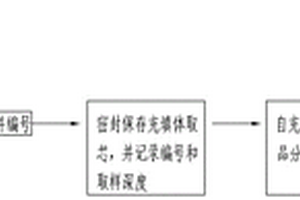 充填体分层离析度检测方法及模型构建方法