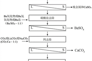 锂回收和纯化