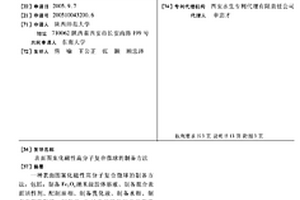 表面图案化磁性高分子复合微球的制备方法