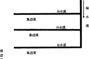 盐湖矿床渠道渗透溶解开采方法