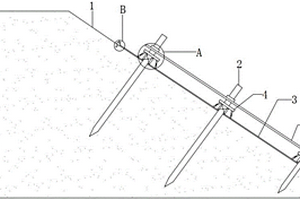 用于采砂废弃边坡修复的坡面固定装置